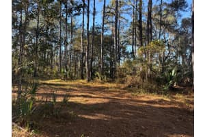 17221 95TH STREET ROAD, OCKLAWAHA, FL 32179 - MLS#MFRO6384490