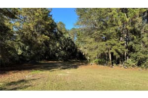 17221 95TH STREET ROAD, OCKLAWAHA, FL 32179 - MLS#MFRO6384490
