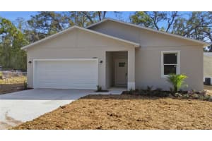 24534 PAUL STREET, SORRENTO, FL 32776 - MLS#MFRO6384575