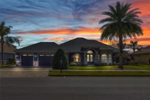 1210 JOHNS COVE LANE, OAKLAND, FL 34787 - MLS#MFRO6384628