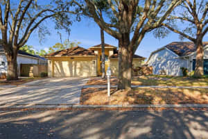 16502 Lake Heather Dr, TAMPA