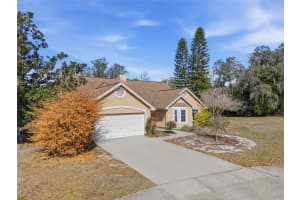 10225 EVENING TRAIL DRIVE, RIVERVIEW, FL 33569 - MLS#MFRO6384758