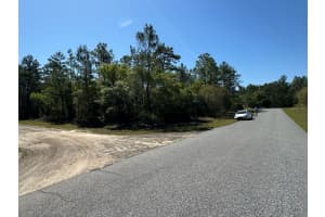 3861 MALBY LANE, DUNNELLON, FL 34433 - MLS#MFRO6384766