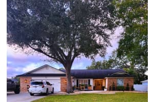 338 Lafayette Blvd, OLDSMAR 338 Lafayette Blvd, OLDSMAR