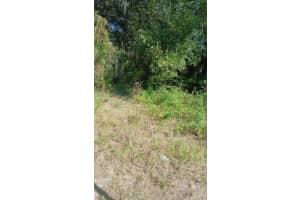 AVENUE O, ORMOND BEACH, FL 32174 - MLS#MFRO6385084