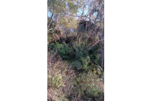 AVENUE O, ORMOND BEACH, FL 32174 - MLS#MFRO6385084