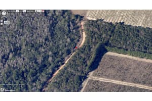 S BOGGY MARSH RD, CLERMONT, FL 34711 - MLS#MFRO6385088