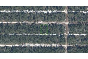 613 PARAKEET AVENUE, SEBRING, FL 33872 - MLS#MFRO6385266
