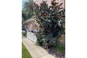 7617 BAY PORT ROAD, ORLANDO, FL 32819 - MLS#MFRO6385269