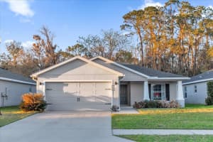 955 PEARLY RIDGE LANE, LAKELAND, FL 33809 - MLS#MFRO6385300
