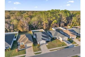 955 PEARLY RIDGE LANE, LAKELAND, FL 33809 - MLS#MFRO6385300