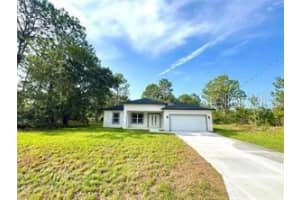 2382 W PARAGON LANE, CITRUS SPRINGS, FL 34434 - MLS#MFRO6385352