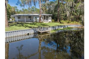 197 PALM MEADOWS DRIVE, EUSTIS, FL 32726 - MLS#MFRO6385514