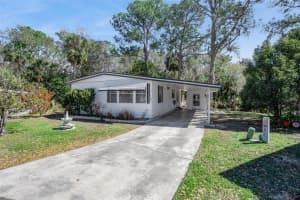 197 PALM MEADOWS DRIVE, EUSTIS, FL 32726 - MLS#MFRO6385514