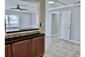 116 RENELLIE DRIVE, TAMPA, FL 33609 - MLS#MFRO6385537