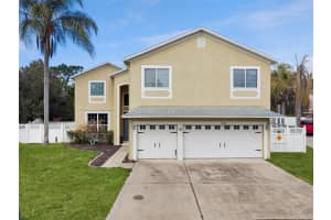 1315 Falconwood Ct, APOPKA