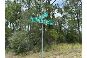 9391 STAFFORD DRIVE, CITRUS SPRINGS, FL 34433 - MLS#MFRO6385801