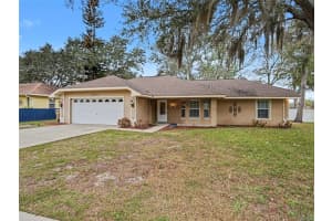 33911 SECRET HILL DRIVE, LEESBURG, FL 34788 - MLS#MFRO6385866