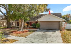 15005 REDCLIFF DRIVE, TAMPA, FL 33625 - MLS#MFRO6385936