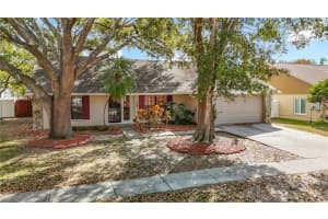 15005 REDCLIFF DRIVE, TAMPA, FL 33625 - MLS#MFRO6385936