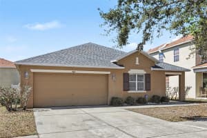 404 VINE CLIFF STREET, RUSKIN, FL 33570 - MLS#MFRO6386040