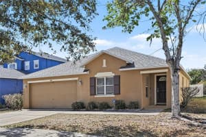404 VINE CLIFF STREET, RUSKIN, FL 33570 - MLS#MFRO6386040