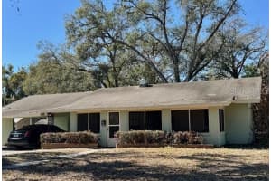 313 S Rossiter St, MOUNT DORA