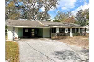 313 ROSSITER STREET, MOUNT DORA, FL 32757 - MLS#MFRO6386051