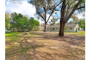 313 ROSSITER STREET, MOUNT DORA, FL 32757 - MLS#MFRO6386051