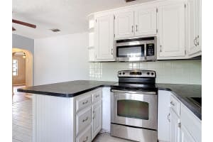 313 ROSSITER STREET, MOUNT DORA, FL 32757 - MLS#MFRO6386051