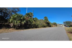 3014 FERDON AVENUE, PALM BAY, FL 32908 - MLS#MFRO6386209