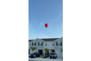 32364 Turtle Grace Loop, WESLEY CHAPEL