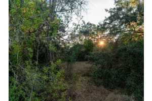 6705 BALSAM PLACE, SEBRING, FL 33875 - MLS#MFRO6386258