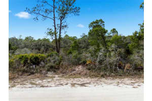 6705 BALSAM PLACE, SEBRING, FL 33875 - MLS#MFRO6386258