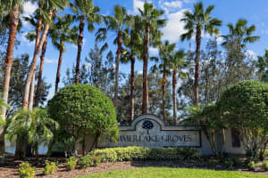 15813 SWEET LEMON WAY, WINTER GARDEN, FL 34787 - MLS#MFRO6386264