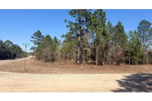 6501 WINLOCK TERRACE, DUNNELLON, FL 34433 - MLS#MFRO6386380