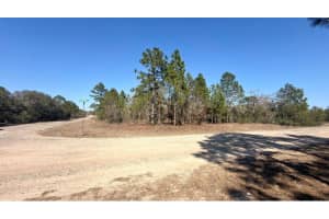 6501 WINLOCK TERRACE, DUNNELLON, FL 34433 - MLS#MFRO6386380