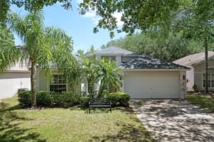 13405 FAWN SPRINGS DRIVE, TAMPA, FL 33626 - MLS#MFRO6386382