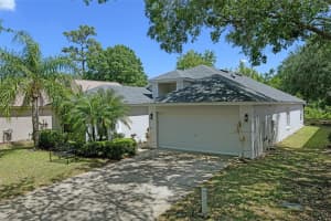 13405 FAWN SPRINGS DRIVE, TAMPA, FL 33626 - MLS#MFRO6386382