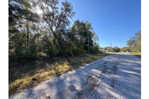 10241 HALSEY WAY, DUNNELLON, FL 34434 - MLS#MFRO6386422