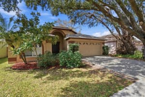 522 BETH ANN STREET, VALRICO, FL 33594 - MLS#MFRO6386446