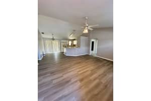 201 MAGELLAN CIRCLE, MINNEOLA, FL 34715 - MLS#MFRO6386496