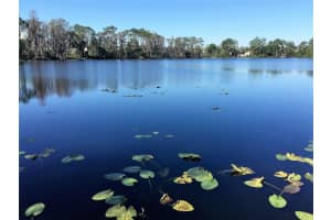 10040 CRYSTALLINE COURT, ORLANDO, FL 32836 - MLS#MFRO6386505