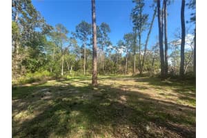 2648 PARK AVENUE, SANFORD, FL 32773 - MLS#MFRO6386574