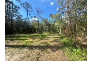 2648 PARK AVENUE, SANFORD, FL 32773 - MLS#MFRO6386574