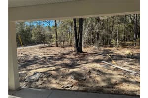 214 CALDWELL DRIVE, CITRUS SPRINGS, FL 34434 - MLS#MFRO6386600