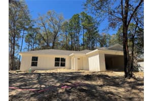 214 CALDWELL DRIVE, CITRUS SPRINGS, FL 34434 - MLS#MFRO6386600