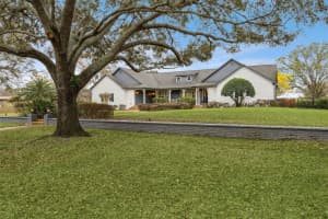 14126 LAKE TILDEN BOULEVARD, WINTER GARDEN, FL 34787 - MLS#MFRO6386648