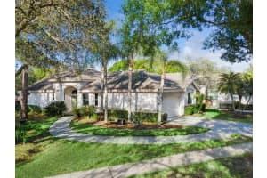 12227 Glencliff Cir, TAMPA