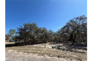 6725 KILLINGER TERRACE, CITRUS SPRINGS, FL 34433 - MLS#MFRO6386848